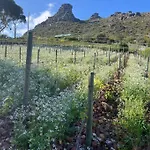 Mountain Vineyard Cottage