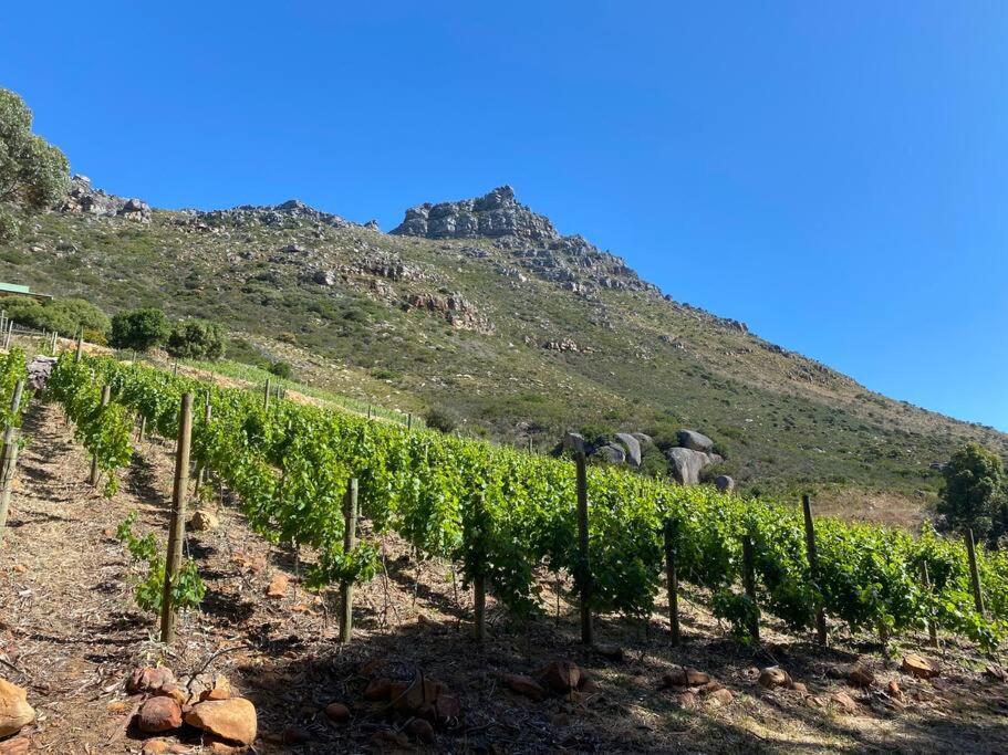 Holiday home Mountain Vineyard *