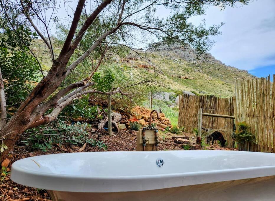 Mountain Vineyard Holiday home