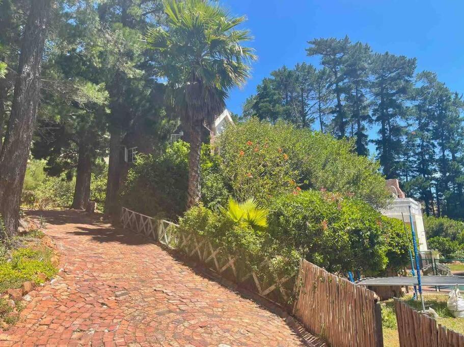 Holiday home Mountain Vineyard Cape Town