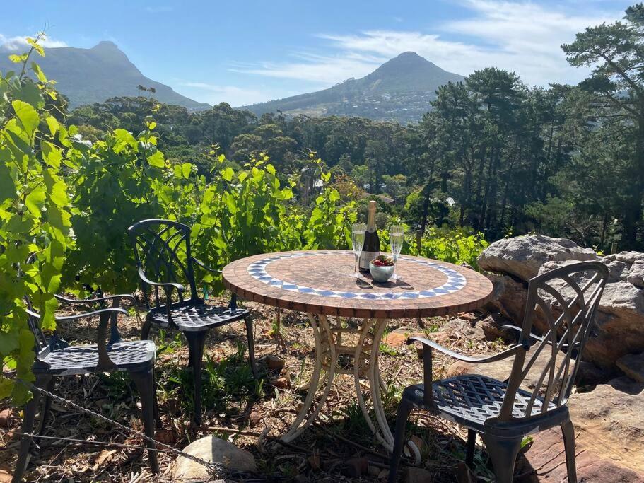 Mountain Vineyard